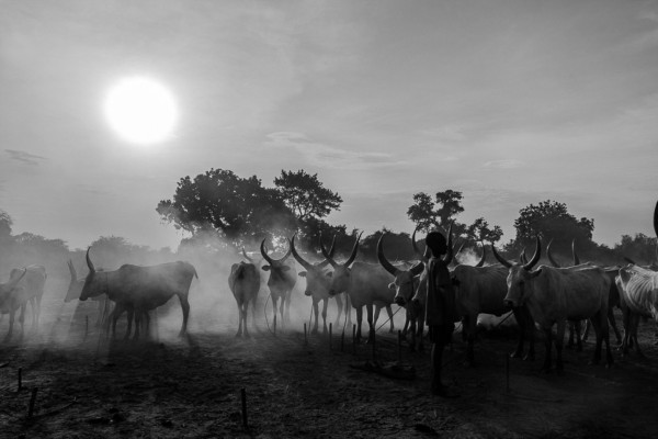 J1S2I69